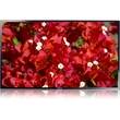 Samsung SyncMaster ME46B 116,8 cm (46 Zoll) LCD - LH46MEBPLGC/EN in 64291 Darmstadt mieten