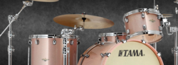Starclassic Maple mieten oder kaufen