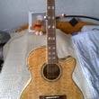 LTD by ESP © EWQA Western Acoustic in 33649 Bielefeld mieten